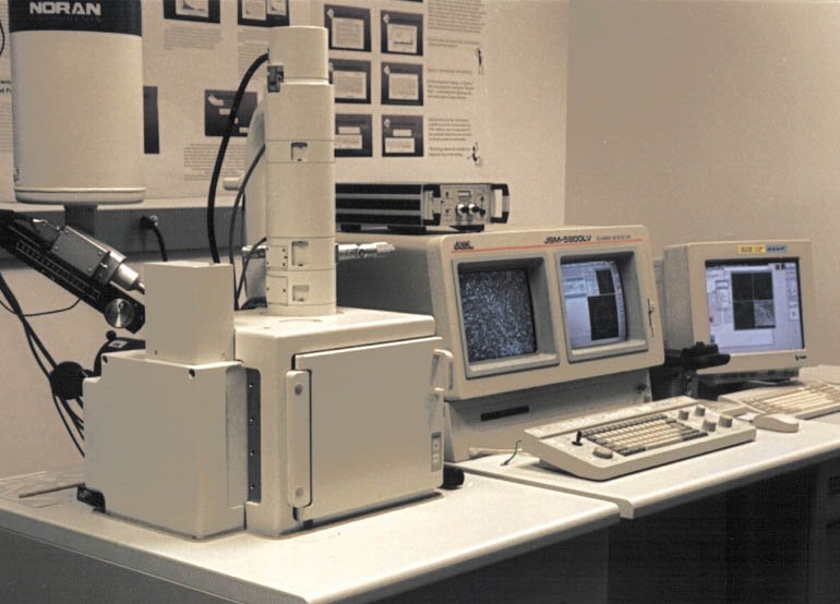 Common Applications of SEM in Material Science