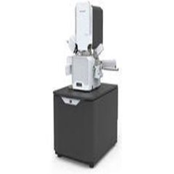 Scanning Electron Microscopy