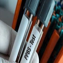 2 Hours Postprandial