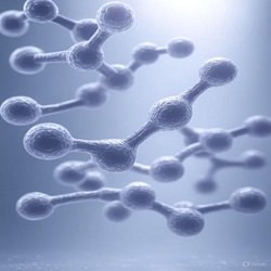 Adrenaline (Epinephrine) – [Plasma]