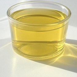 Albumin – [Serum/Urine 24hrs]