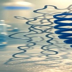 Alkaline Phosphatase – [Serum]